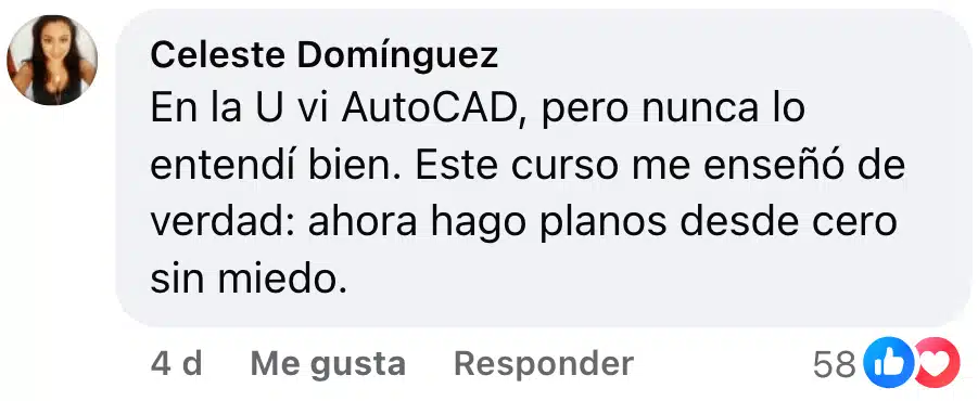 Testimonio Celeste dominguez autocad