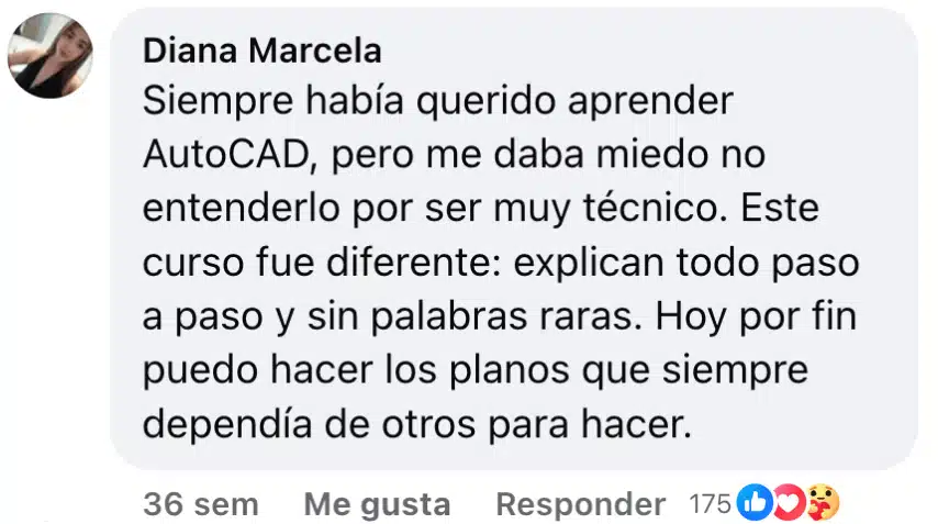 Testimonio Diana Marcela autocad